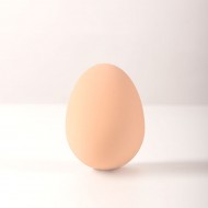 Skákající Vajíčko + poštovné jen za 1 Kč